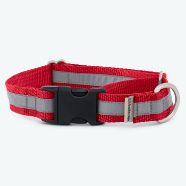 Reflective Webbing martingale dog collar with buckle Reflective Webbing martingale dog collar with buckle